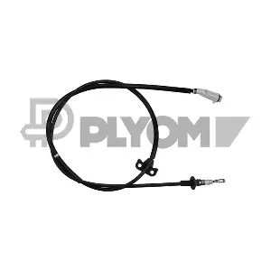 P762898 PLYOM