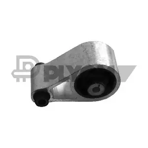 P020490 PLYOM