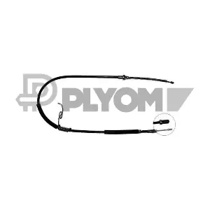 P088002 PLYOM