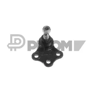 P754996 PLYOM