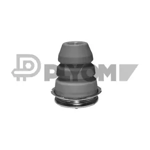 P756961 PLYOM