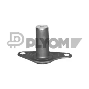 P021330 PLYOM