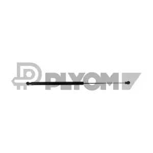 773349 PLYOM