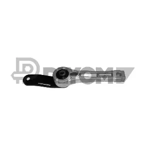 P461051 PLYOM
