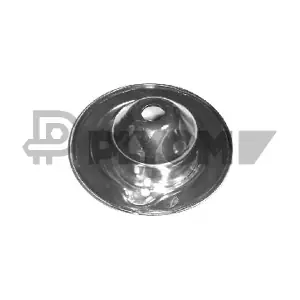 P767204 PLYOM