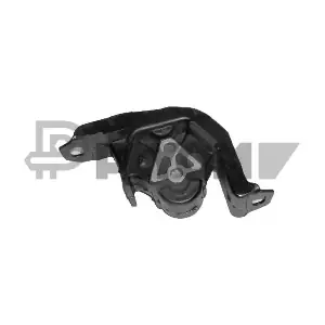 P480433 PLYOM