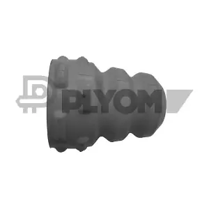 P462439 PLYOM