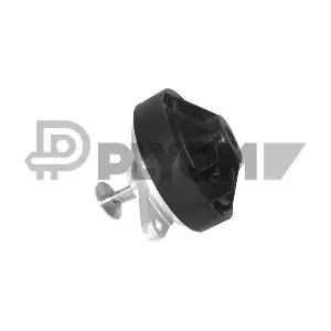 P960022 PLYOM