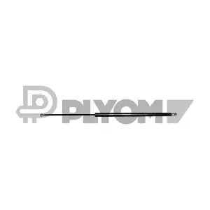 773478 PLYOM