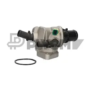 P750787 PLYOM