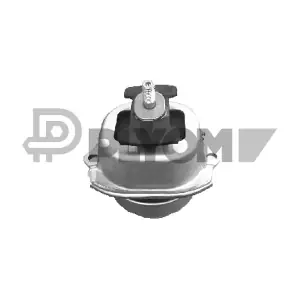 P771552 PLYOM