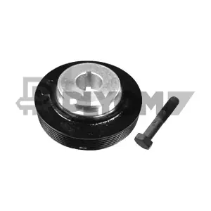 P752335 PLYOM