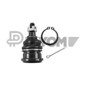 P755081 PLYOM
