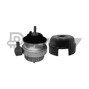 P756274 PLYOM