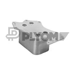 P751728 PLYOM
