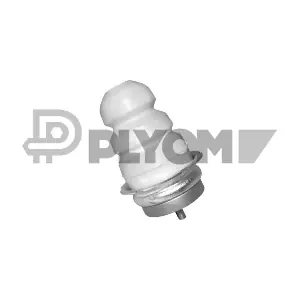 P012252 PLYOM
