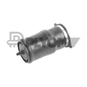 P753217 PLYOM