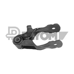 P031698 PLYOM