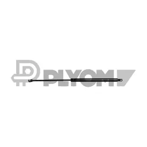 773381 PLYOM