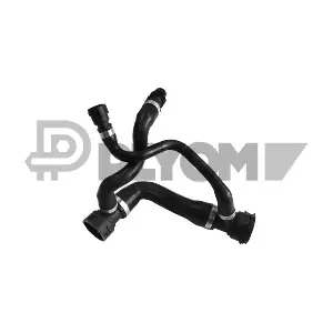 P753919 PLYOM