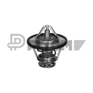 772648 PLYOM