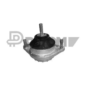 P460156 PLYOM