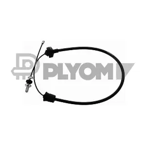 P028383 PLYOM