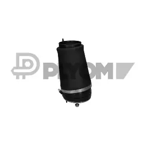 P753009 PLYOM