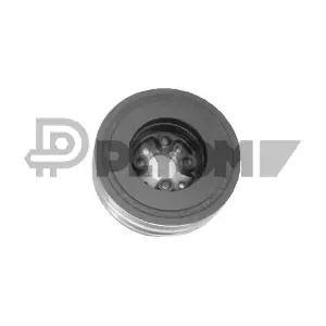 P460955 PLYOM