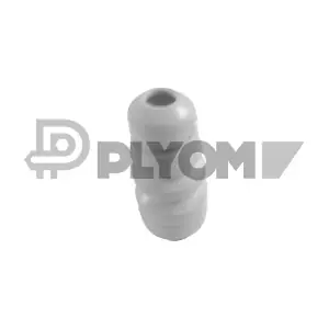 P762207 PLYOM
