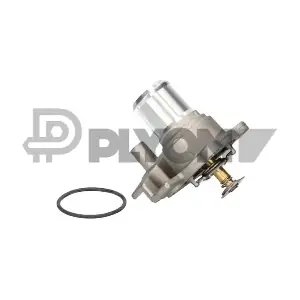 P756911 PLYOM
