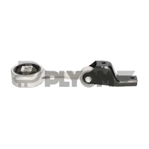 P461042 PLYOM