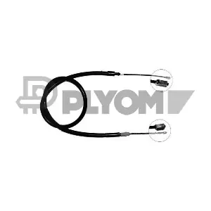 P038285 PLYOM