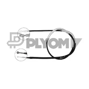 P765996 PLYOM
