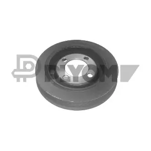 P030923 PLYOM