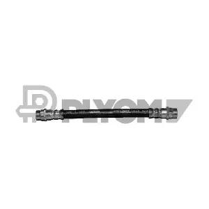 P020538 PLYOM