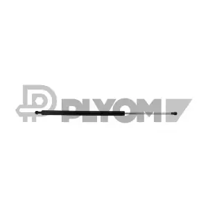 773456 PLYOM