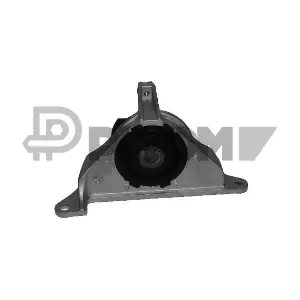 P011059 PLYOM