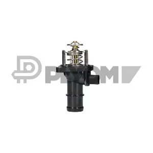 P955489 PLYOM
