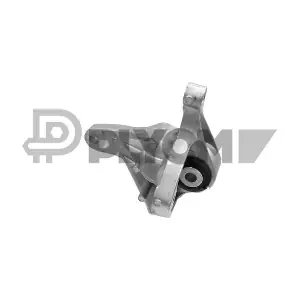 P081077 PLYOM