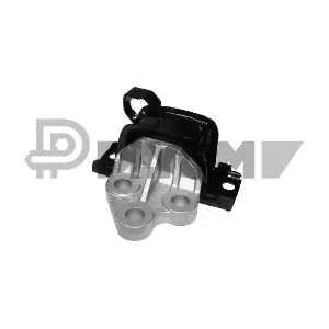 P011162 PLYOM