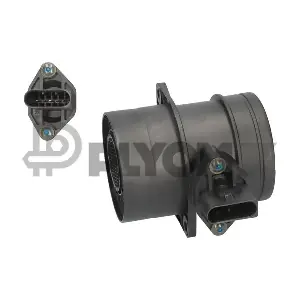 P770054 PLYOM