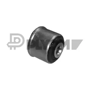 P021283 PLYOM