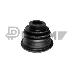 P020402 PLYOM