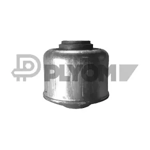P020794 PLYOM