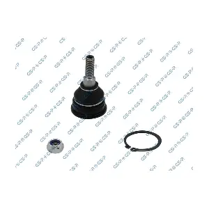 S080998 GSP-BR