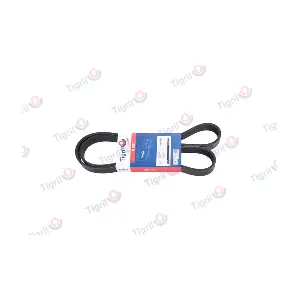 DB01.0186 TIGRIL