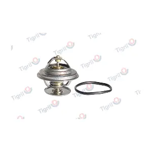 DB01.0075 TIGRIL
