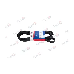 DB01.0197 TIGRIL