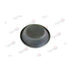 1696583 UNIVERSAL
